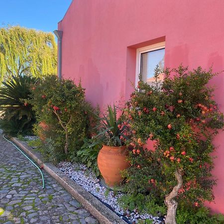 Casa Das Jardas อิดันญา-อา-โนวา ภายนอก รูปภาพ
