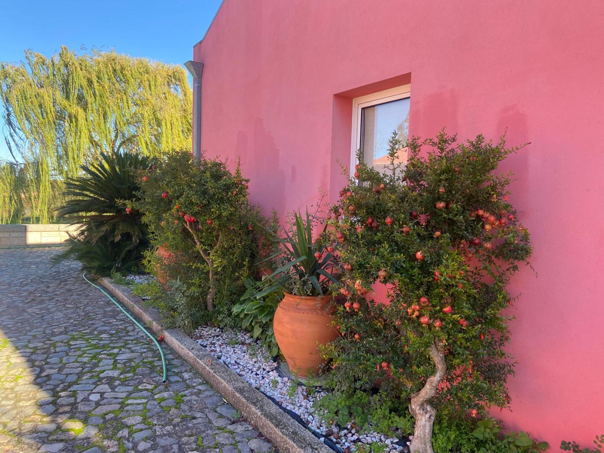 Casa Das Jardas อิดันญา-อา-โนวา ภายนอก รูปภาพ